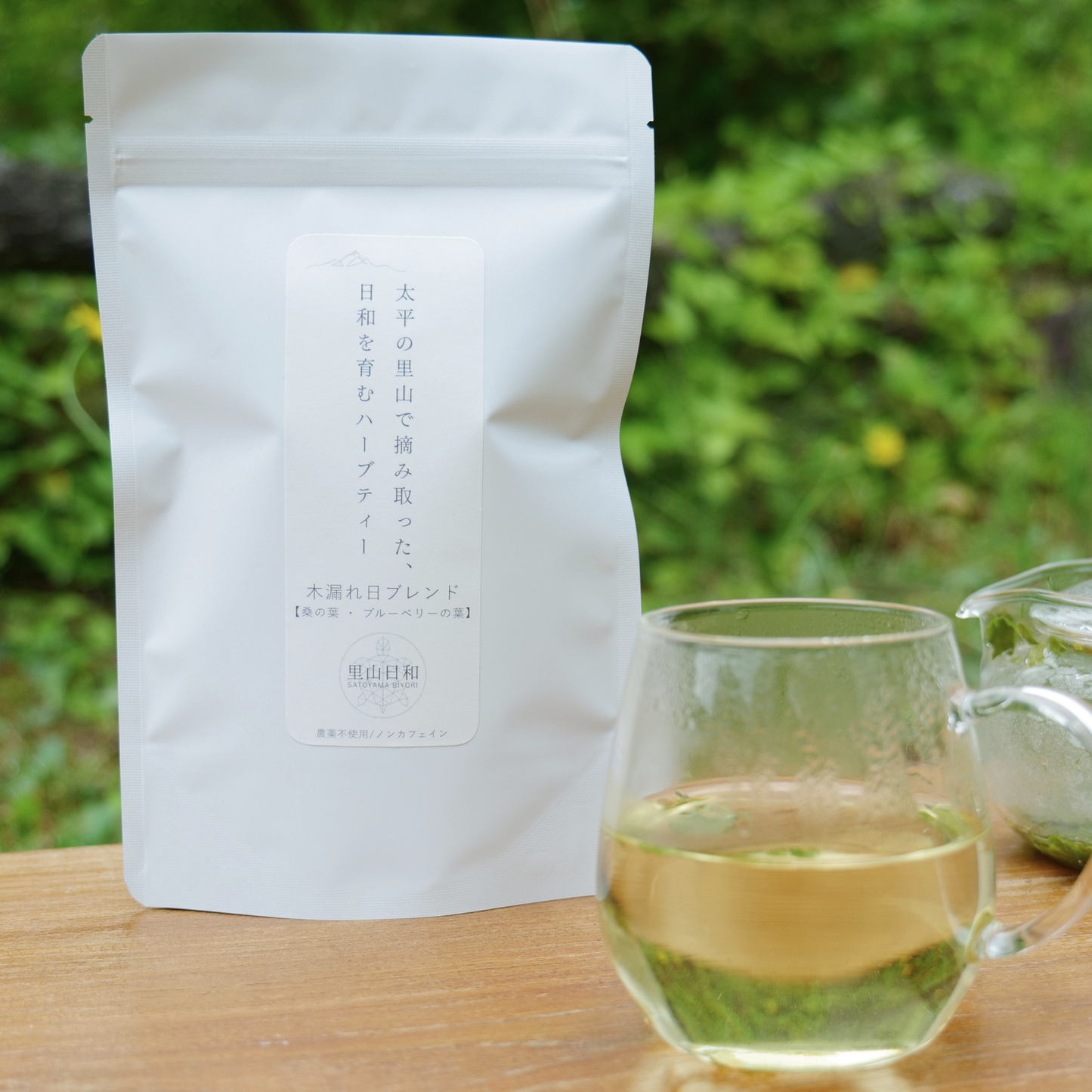 【今秋発売予定】木漏れ日（KOMOREBI）｜ 桑の葉 × ブルーベリーの葉